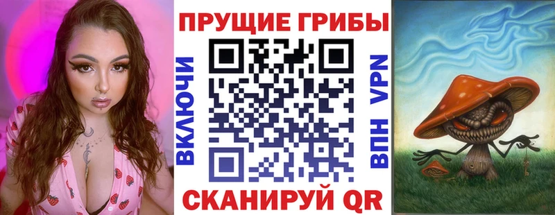 наркотики  Анива  Псилоцибиновые грибы Psilocybe 