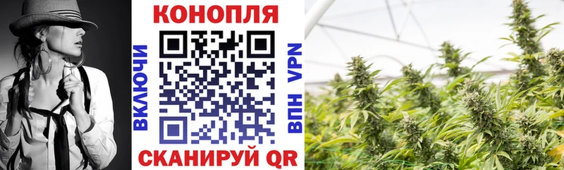 Бошки Шишки VHQ  Анива 
